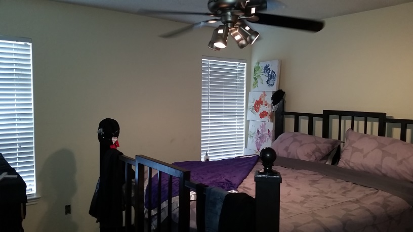 2832-fm-731-bedroom-master